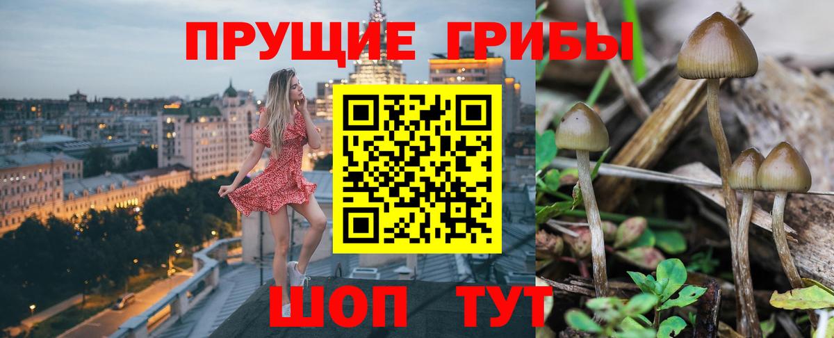 Майкоп  Галлюциногенные грибы Magic Shrooms  Вход с VPN  Псилоцибиновые грибы мухоморы 